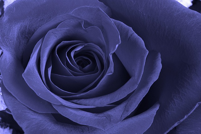 blue