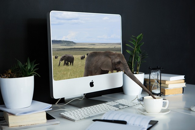 computer