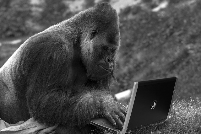 computer