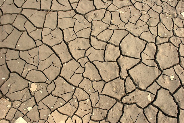 desert