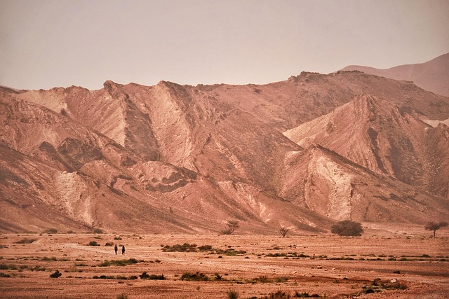 desert