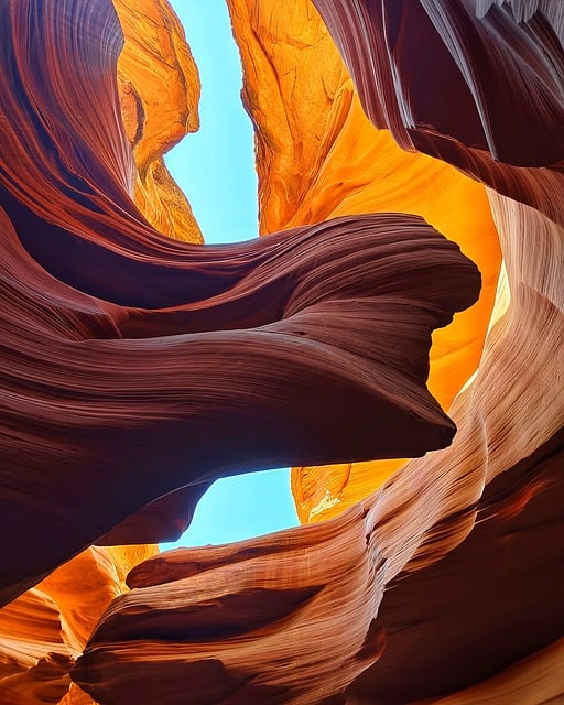desert
