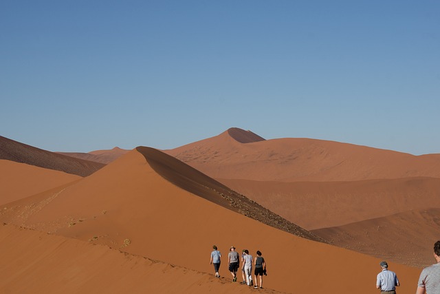 desert