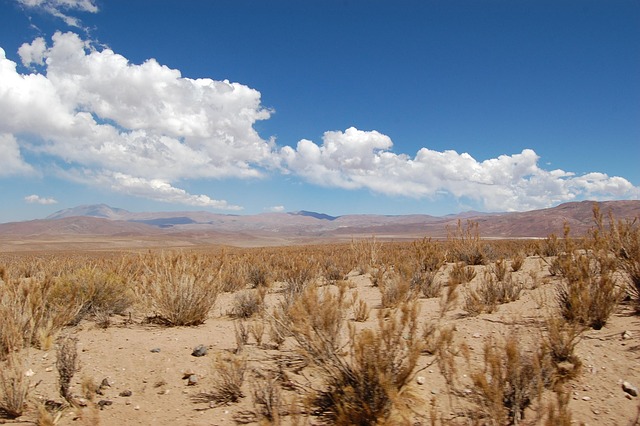 desert