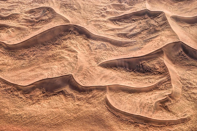 desert landscape