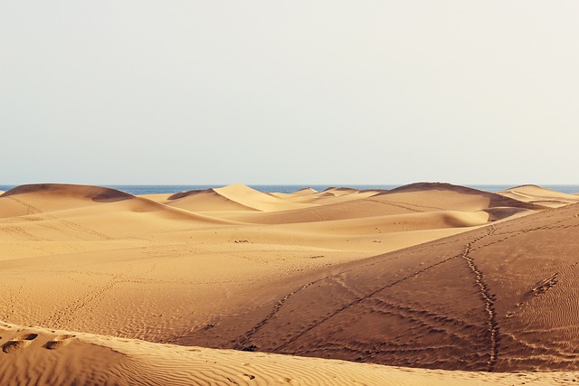 desert landscape