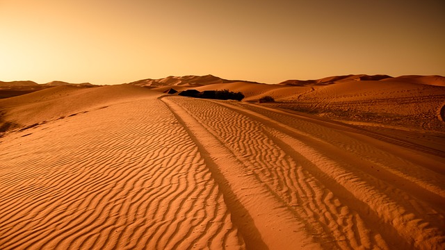 desert landscape