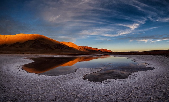desert landscape