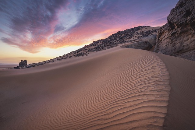desert landscape