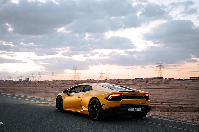 desert landscape