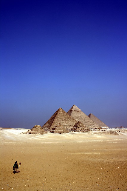 desert landscape