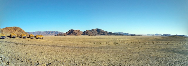 desert landscape