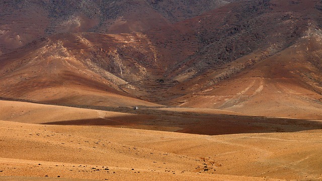 desert landscape