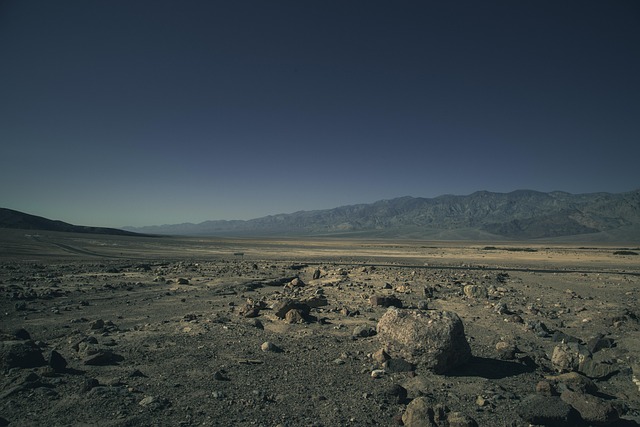 desert landscape