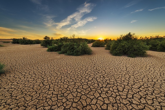 desert landscape