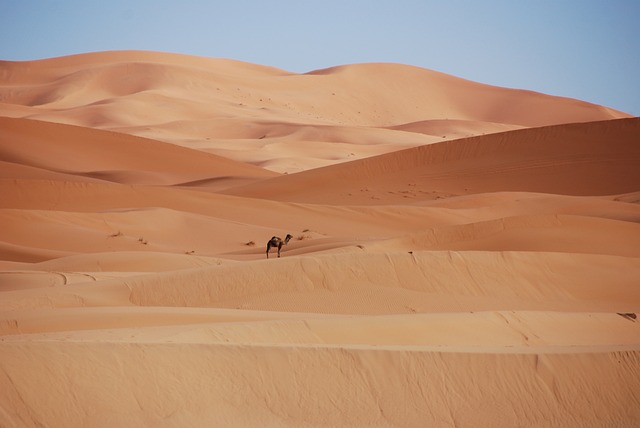 desert landscape