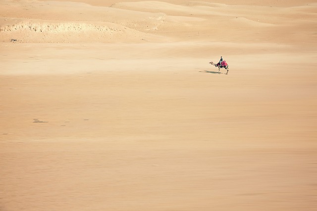 desert landscape