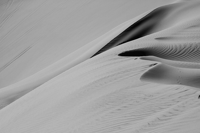 desert landscape