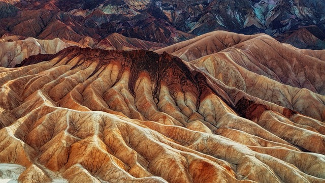 desert landscape