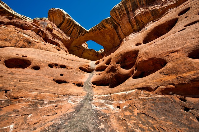 desert landscape