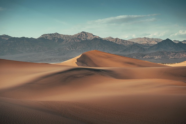 desert landscape