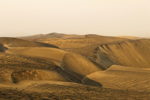 desert landscape
