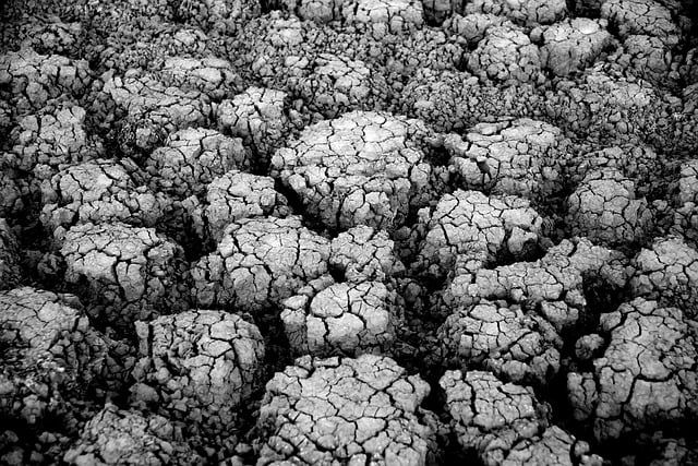 desert landscape