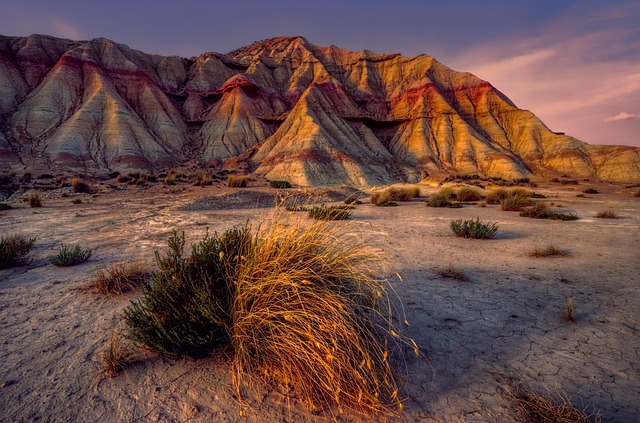 desert landscape