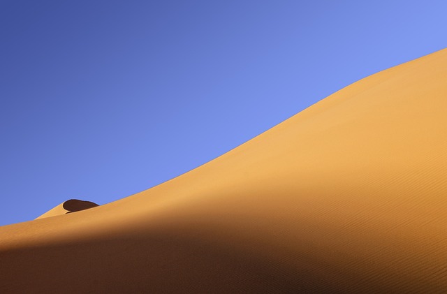 desert landscape