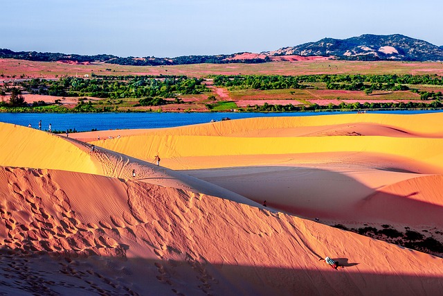 desert landscape
