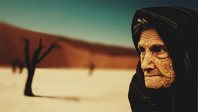 desert landscape