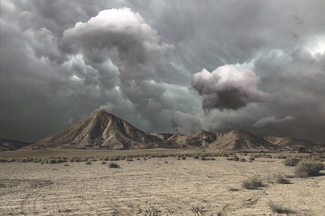 desert landscape