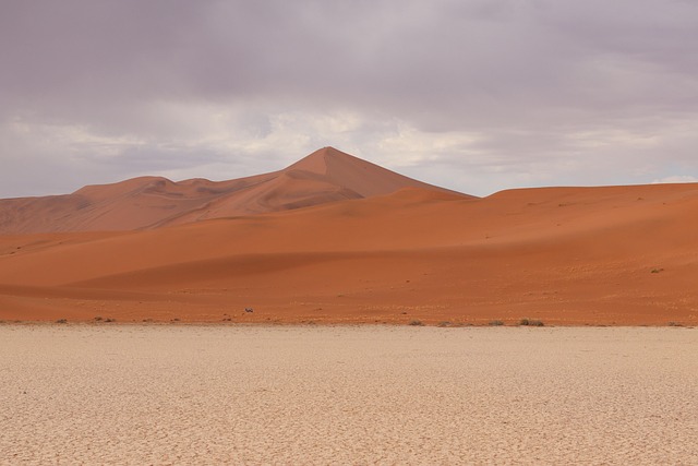 desert landscape