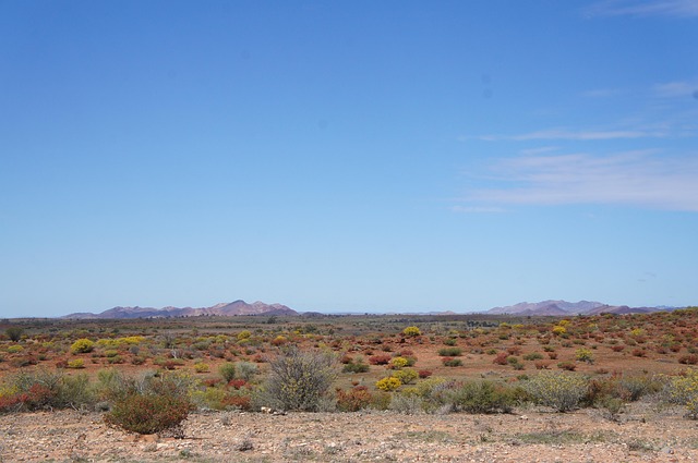 desert landscape