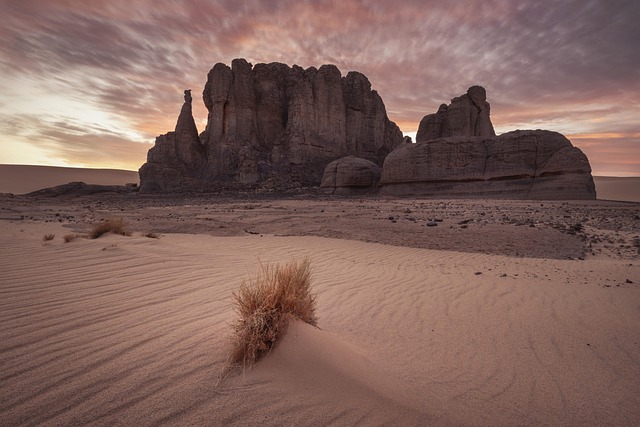 desert landscape