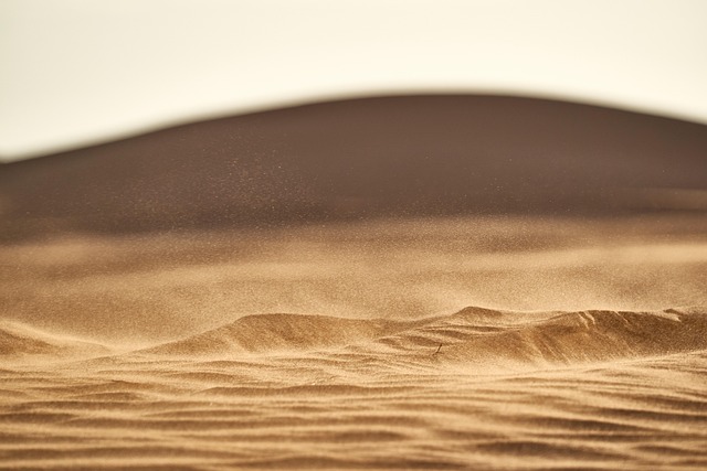 desert landscape