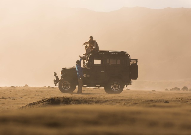 desert landscape