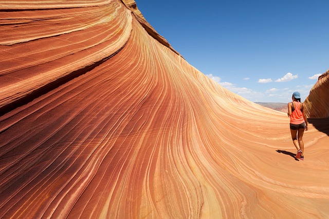 desert landscape