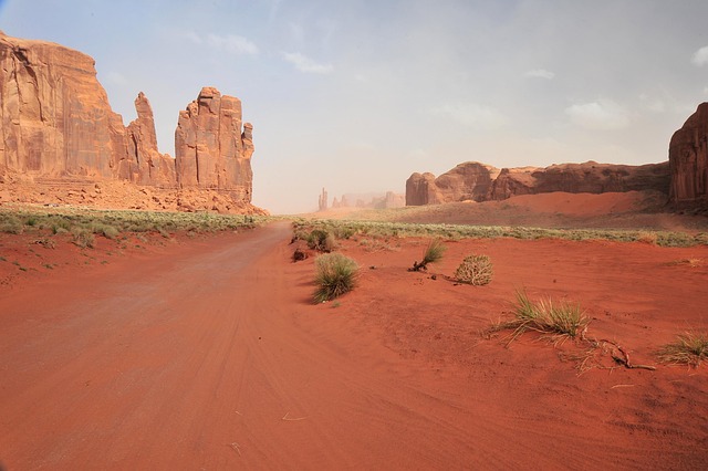 desert landscape
