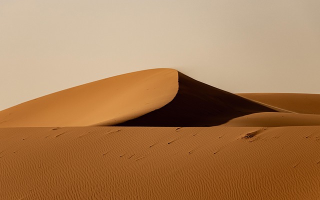 desert landscape