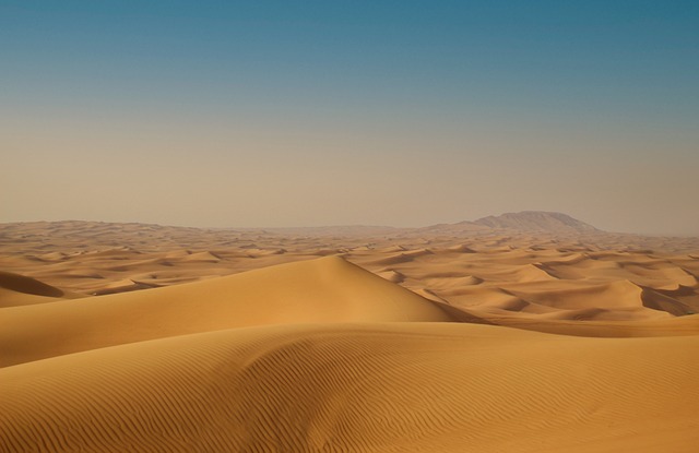 desert landscape