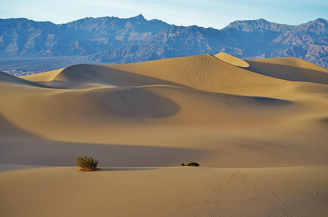desert landscape