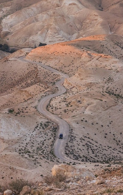 desert landscape