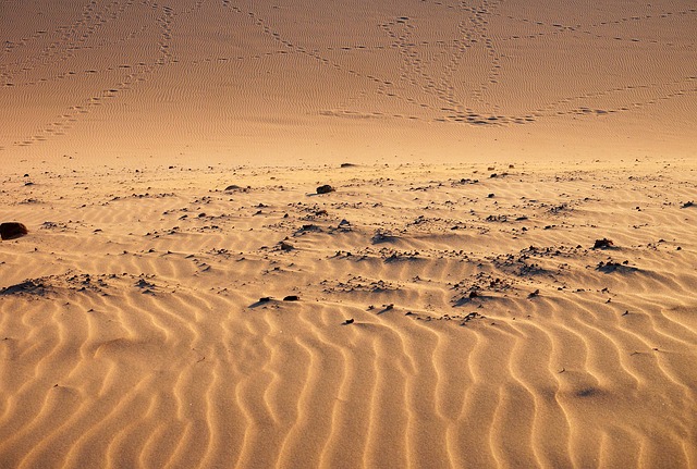 desert landscape
