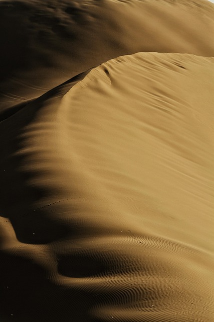 desert landscape