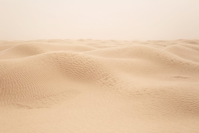 desert landscape
