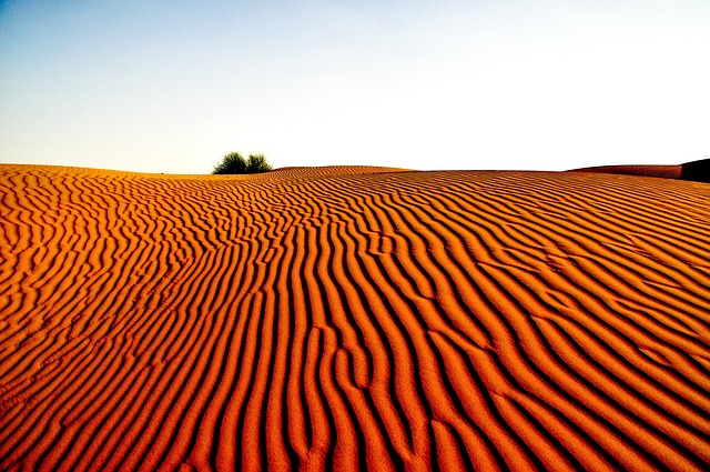 desert landscape