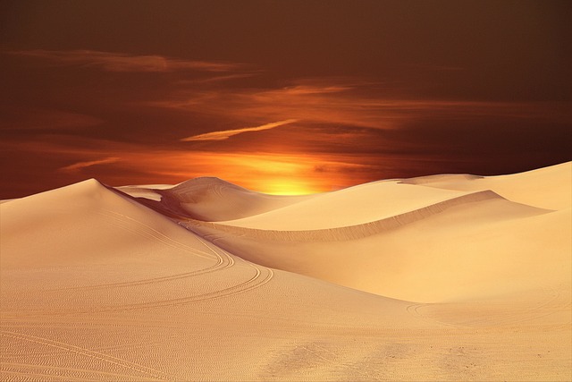 desert landscape