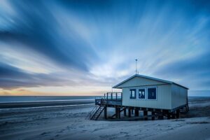 Navigating House Sitting: Trusted Care for Your Home and Pets