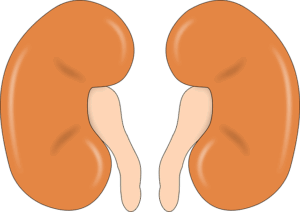 human-640x480-13984479.png